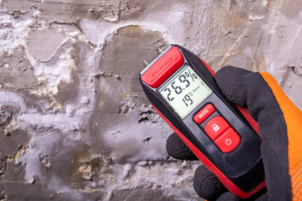 Best Mold Inspection  in Crainvle, IL