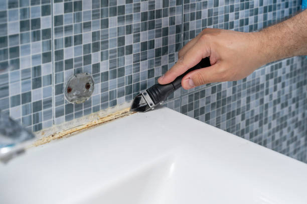 Reliable Crainville, IL Mold Removal Solutions